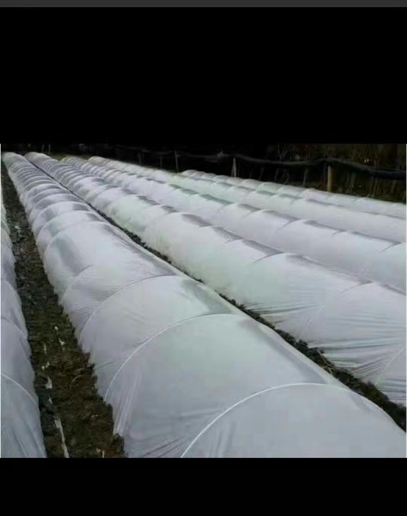 玻璃纤维棒应用几大领域