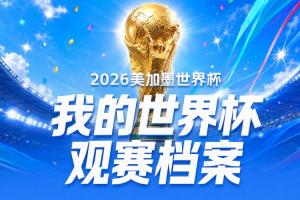 「世界杯观赛档案」世界杯结束了，但你熬过的每一个夜，都有记录